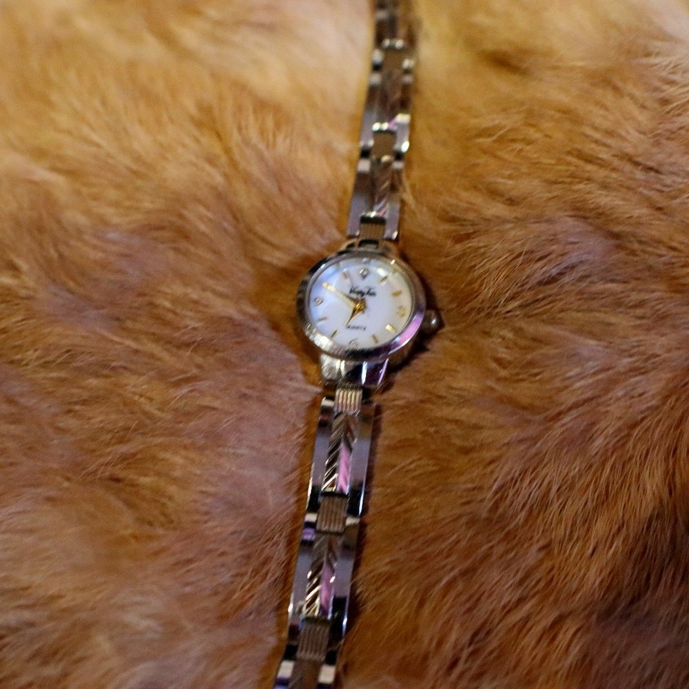 Vanity Fair VFW553 Watch